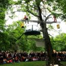 Sauvetage d'un érable au parc de la légion d'honneur à Saint Denis